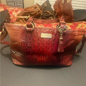 Brahmin handbag